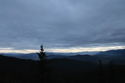 DSC_0132 (Large).JPG